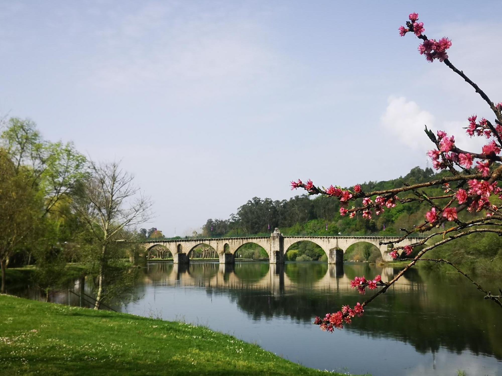 Quinta De Cypriano - Wine & Nature Ponte da Barca Luaran gambar