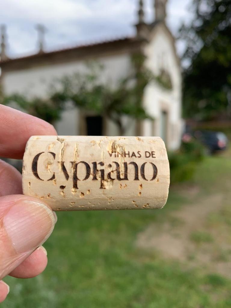 Quinta De Cypriano - Wine & Nature Ponte da Barca Luaran gambar